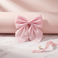 Coquette Aura Bow