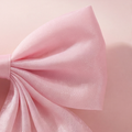 Coquette Aura Bow